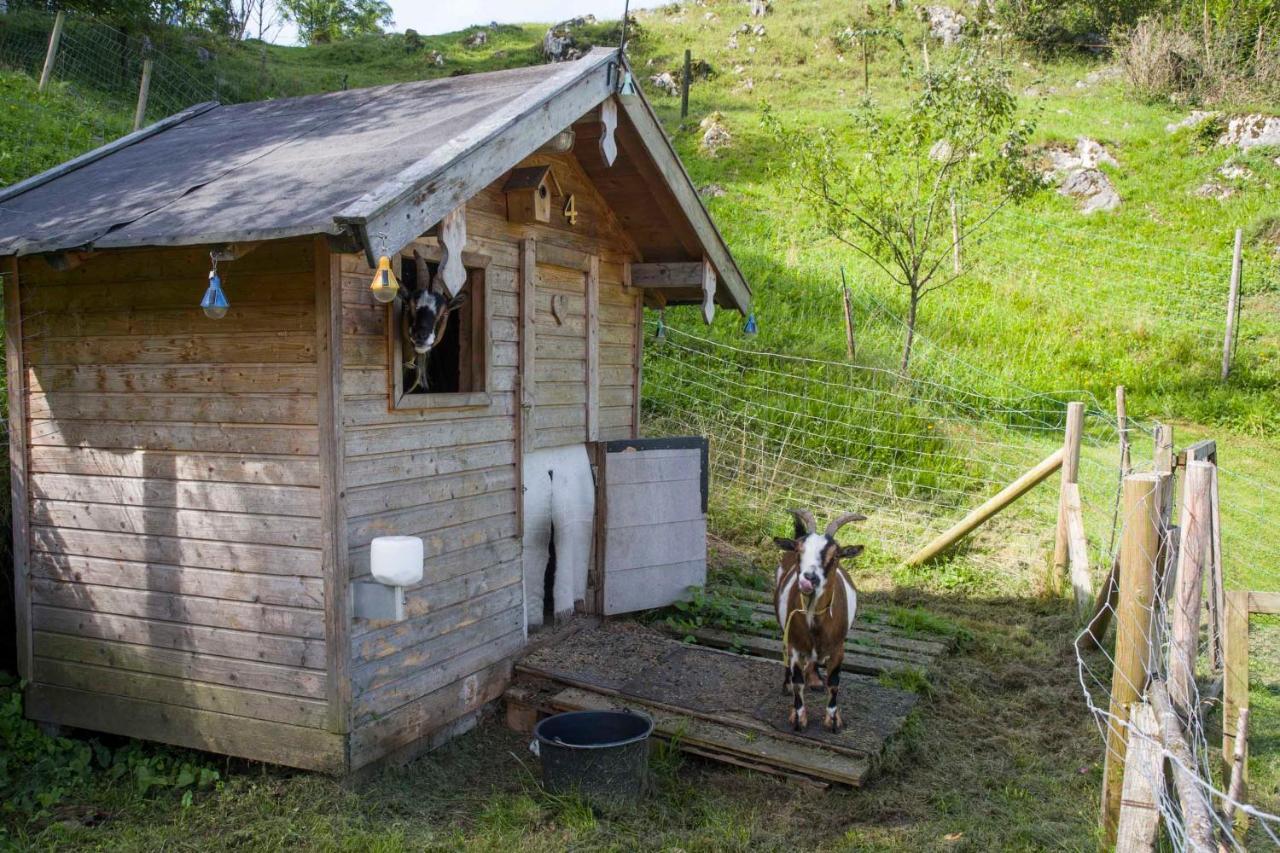 Gaestehaus Schreyer Oberaudorf Ngoại thất bức ảnh